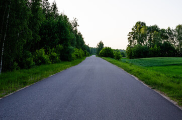 Asphalt road goes into the distance and clear sky near the forest