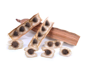 Moringa Oleifera Medicinal and Culinary Fruit Seed Closeup Isolated on White Background. Also Known as Drumstick Tree, Horseradish Tree, and Ben Oil or Benzoil Tree.