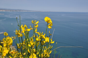 pesaro marche san bartolo park