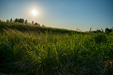 Карелия