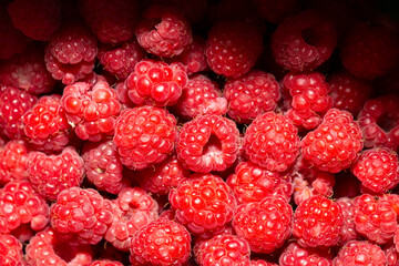 Background of ripe red raspberries. Vitamin Dessert.