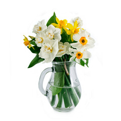Beautiful yellow and white daffodils in a transparent vase isolated on a white background.