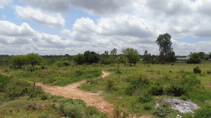 landscape with blue sky