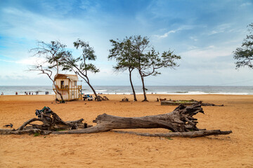 Beautiful calangute Beach of Goa, Famous tourist destination, Goa, India