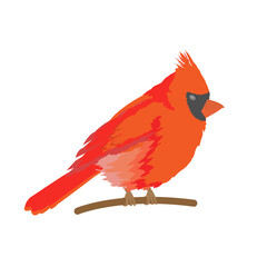 Northern Cardinal on with background