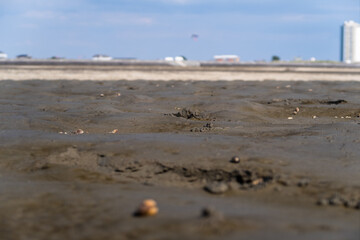 closeup shot of the mud flat in Büsum