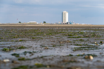 Mud flat in Büsum with Hotel Tower in Background