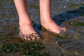 Feet in Mud flat at Northsea coast