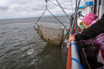 Trawl net for crab fishing