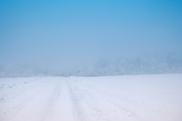 Fototapeta na wymiar Foggy Winter Morning . Snowy Scenery in the Haze