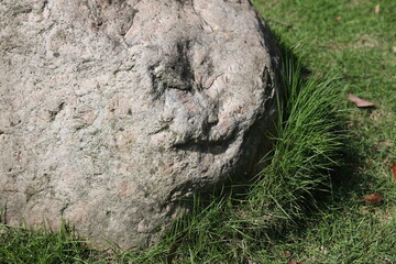 The surface details and textures of big stones in the park