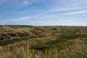 Dunes at the North sea coast