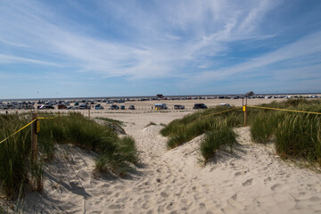 Dunes at the North sea coast