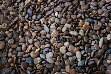 smooth sand stone from water pond for texture background