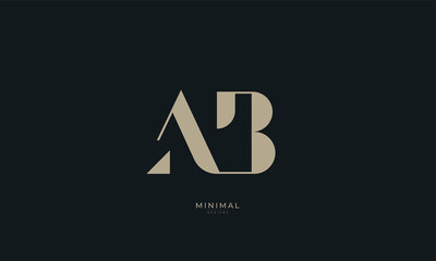 Alphabet letter icon logo AB