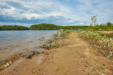 Sandy Shore Lake Haikola