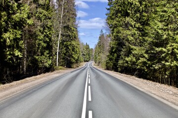 Fototapeta na wymiar Straight empty asphalt road through the coniferous forest. Modern countryside road leading into the distance. Highway surface close up. Diminishing perspective road view. Traveling by car. Road trip.