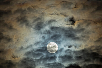 Naklejka na ściany i meble Full moon in the cirrus clouds