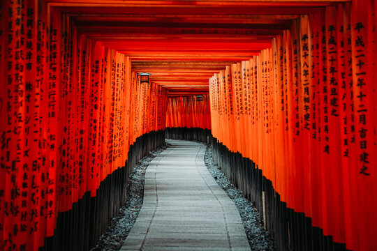 Japanese Temple Torii Gates In Kyoto, Japan. (Fushimi Inari).