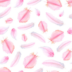 pattern with pink feathers