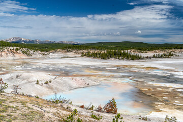 Hydrothermal 1 pools causing rising stream and bubbling water extracting minerals from the ground in various colors of green, gray and orange
, Norris Porcelain Basin, Yellowstone National Park