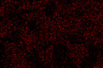 Obraz na płótnie Canvas abstract black and red grunge background