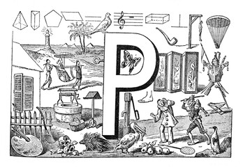 English alphabet P with mixed illustrations animals and decoration hand drawn ABC / Antique illustration from Petit Larousse 1914
