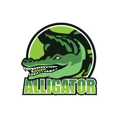 alligator crocodile logo for your business company. vector illustration