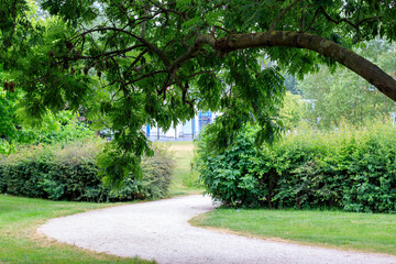 Obraz premium Un chemin sous les branches