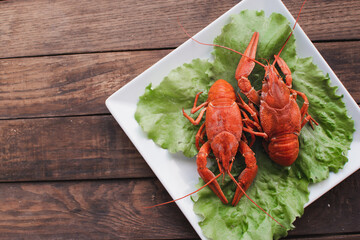 Hot delicious crayfish on a plate. Crayfish. Red boiled crawfishes. Lobster closeup.