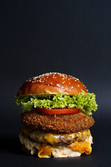 Delicious fresh homemade hamburger with fresh vegetables and sauce. on black background, copy space for text