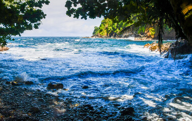 Onomea Bay With Palm Tree