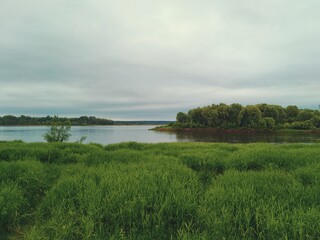 Fototapeta na wymiar evening sky over a river bank with tall green grass