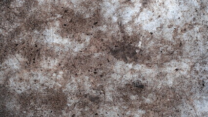 Obraz premium Old wall surface of the house.