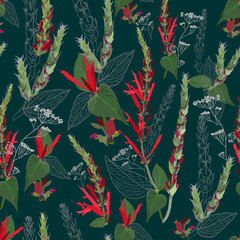 Bright seamless pattern with red sage flowers, buds, leaves and wildflowers. Elements of plants and their contours are arranged randomly. Vector image on a dark green background