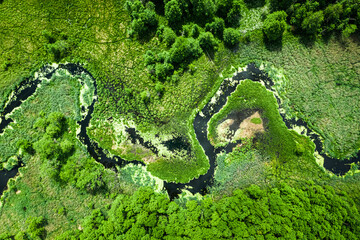 Amazing green algae on the river in spring, aerial view