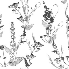 Graphic monochrome seamless pattern with wildflowers flowers, pods, leaves and inflorescences. Elements of plants, their contours and silhouettes are arranged randomly. Vector image on a white