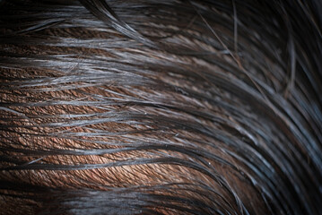 Wet hair combed in curves.