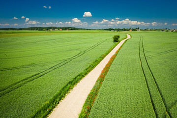 Flying above rural green field and country road in Poland