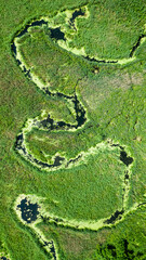 Top down view of blooming algae on the river