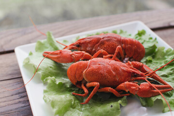 Hot delicious crayfish on a plate. Crayfish. Red boiled crawfishes. Lobster closeup.