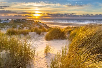 Photo sur Aluminium Mer du Nord, Pays-Bas Vue du haut des dunes sur la mer du Nord