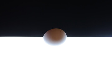 black egg on a white background