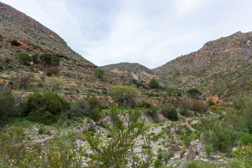 Fototapeta na wymiar mountainous landscape with a canyon in the center