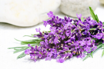 Lavender bunch with stones, copy space