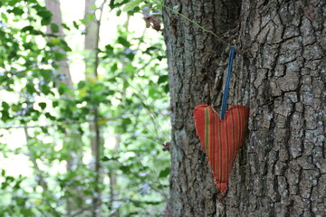 Herz aus Stoff hängt an einem Baum im Wald