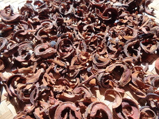 Dried mangosteen (Garcinia mangostana, purple mangosteen, manggis) peel. Mangosteen rind used as herbal medicine.