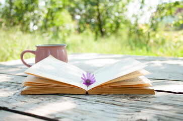 open book with a flower on its pages and a cup on a table in the garden