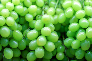 fresh brunch green white grapes on shelf in  fruits market