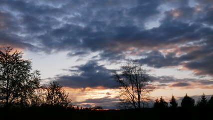 Naklejka na ściany i meble Sonnenuntergang mit ein Paar Wolken und Bäumen